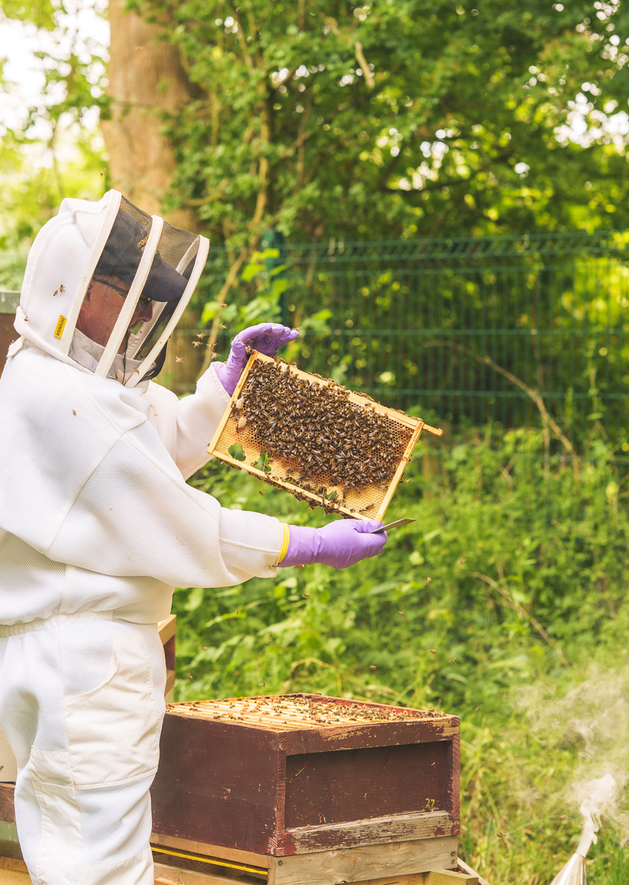 Best restaurant in Radlett