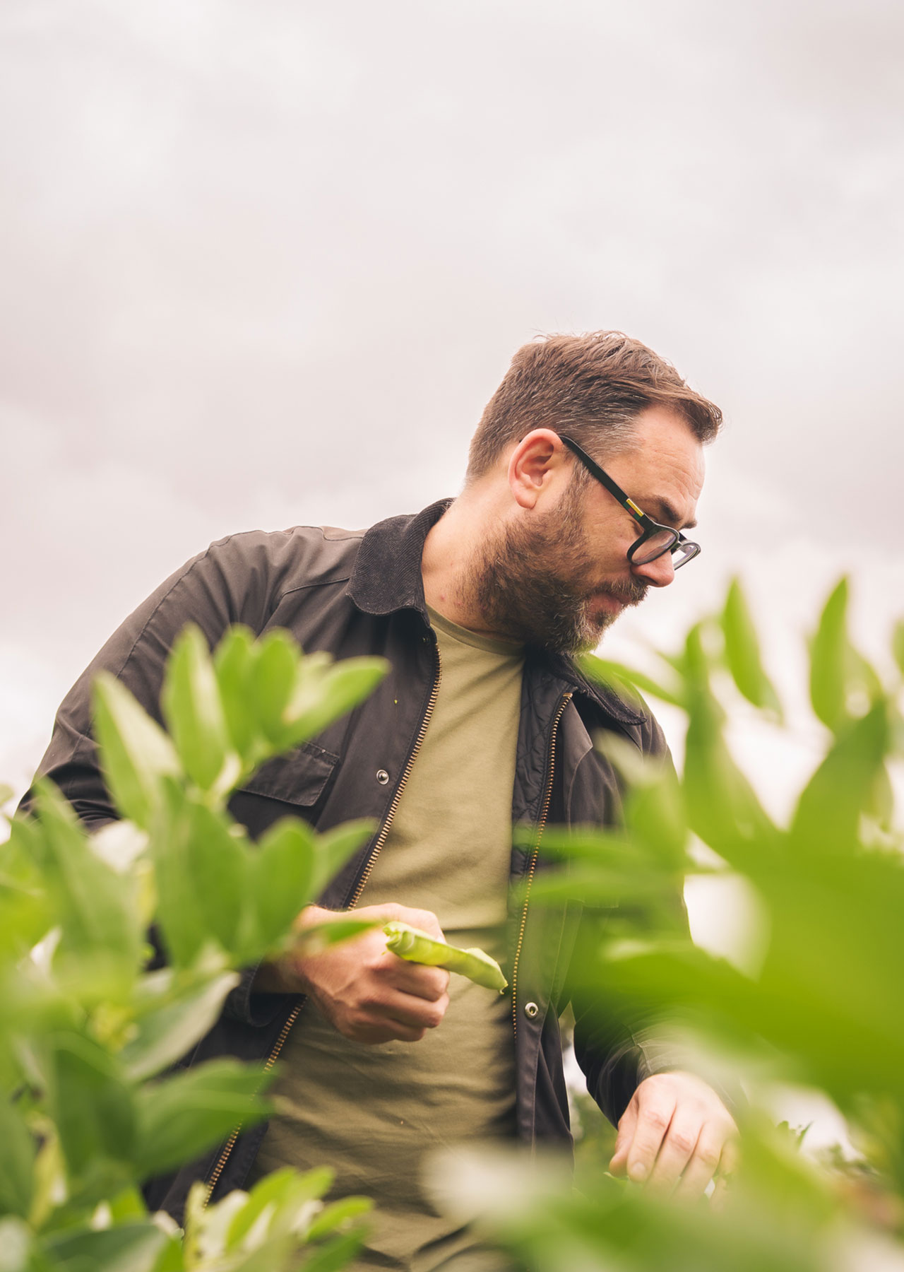 Best restaurant in Radlett