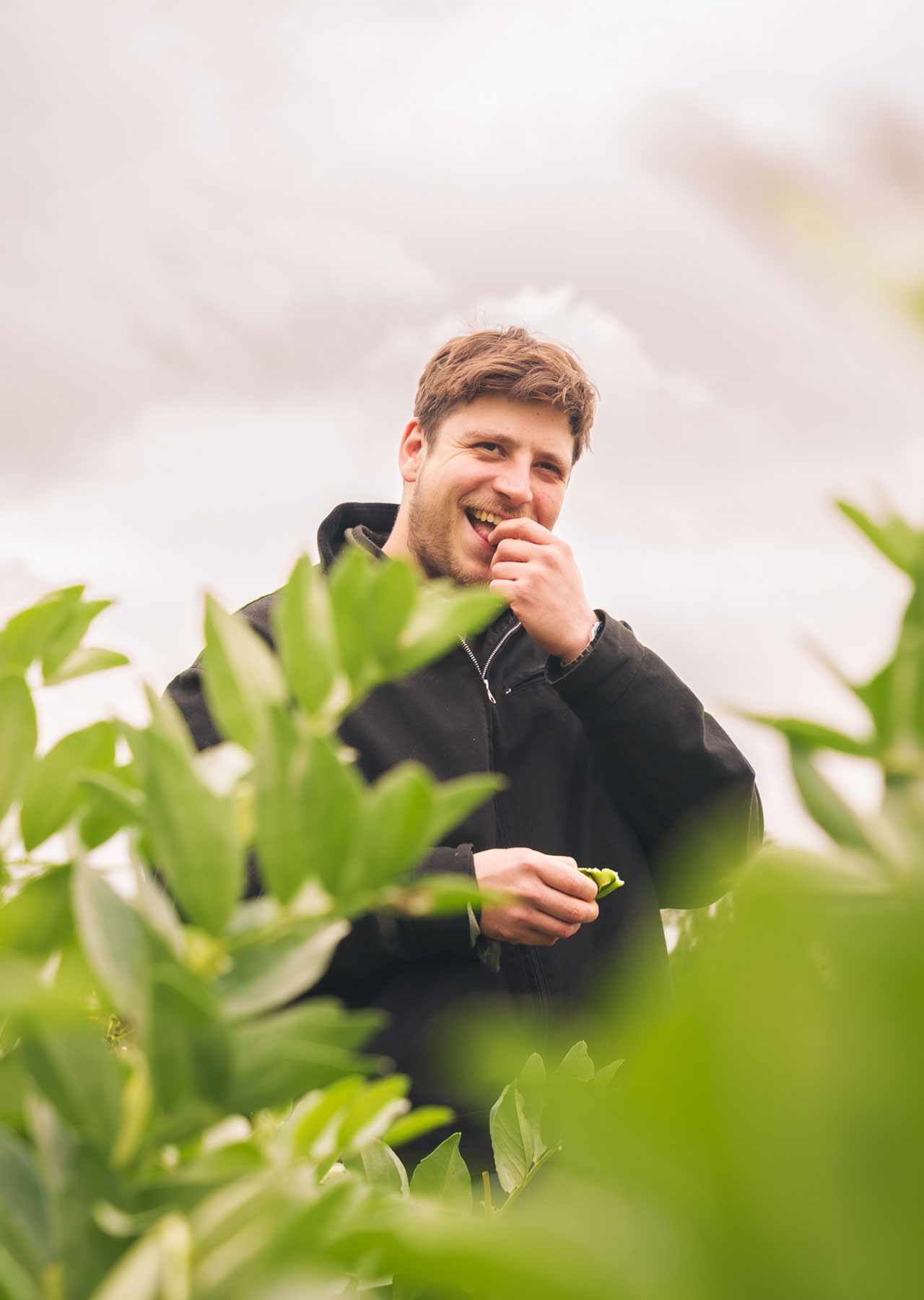 Best restaurant in Radlett