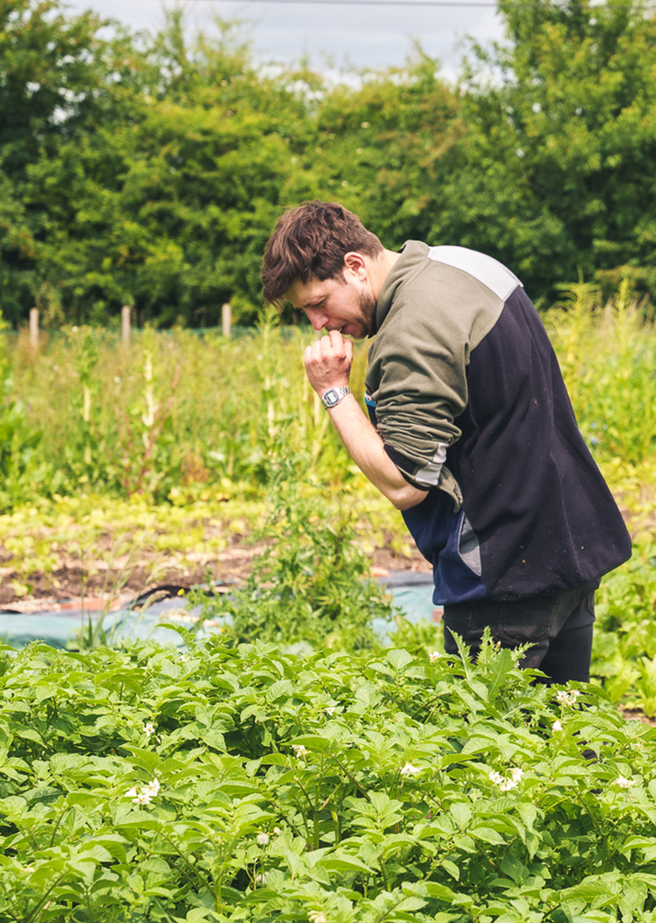 Charlie Hitchcock – Head Chef